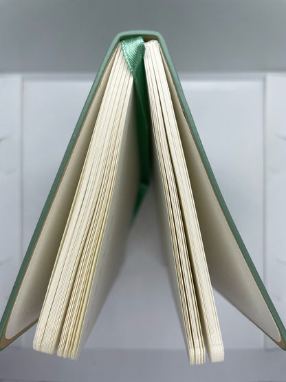 Mamoru Notizbuch in Pastell grün